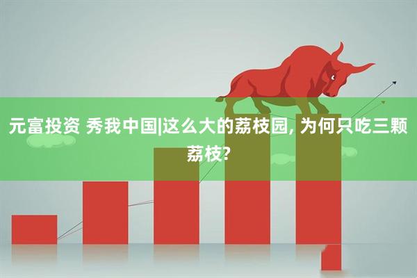 元富投资 秀我中国|这么大的荔枝园, 为何只吃三颗荔枝?