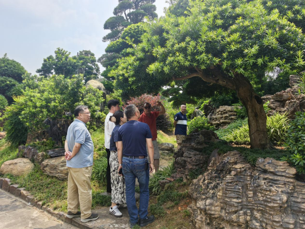 拿柜配资 石井街商会赴佛山香木馆，开启文化与商业双向赋能之旅