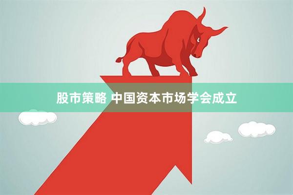股市策略 中国资本市场学会成立